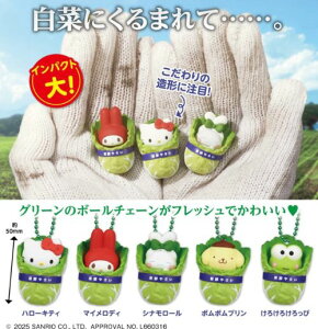 �y4���\��z�T�����I�L�����N�^�[�Y ���؃}�X�R�b�g �S5�� �R���v���[�g�Z�b�g �K�`�� ��������