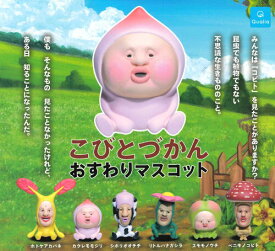 【即納品】こびとづかん おすわりマスコット 全6種 コンプリートセット ガチャ 送料無料