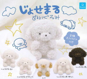 y2026N1\z傹܂ ʂ S5Rv[gZbg K` 