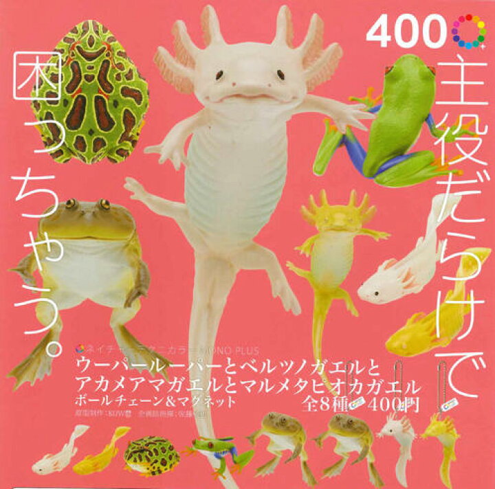 楽天市場】【即納品】ウーパールーパーとベルツノガエルと 