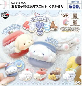 y2026N1\zƂ킽 ᔠZ}XRbg ܂ S5 Rv[gZbg K` 