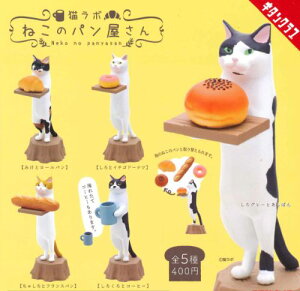 y[iEĔ́zL{ ˂̃p S5 Rv[gZbg K` 