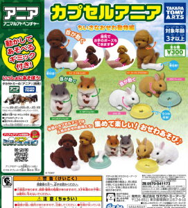 y[izJvZAjA Ȃ  Pi K` 