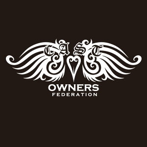 JbeBOXebJ[ 350×800TCY _CnciDAIHATSUjCAST LXg tribewing1  J[ XebJ[   ANZT[ V[ KX I[_[Ch ][]