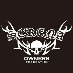 JbeBOXebJ[ 290×490TCY YiNISSANjZi SERENA tribebone2  J[ XebJ[ ANZT[ V[ KX[]