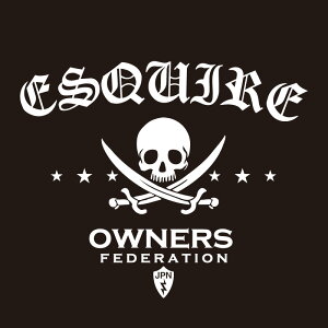 JbeBOXebJ[ 290×330TCY g^iTOYOTAjGXN@CA ESQUIRE pirates  J[ XebJ[ ANZT[ V[ KX[]