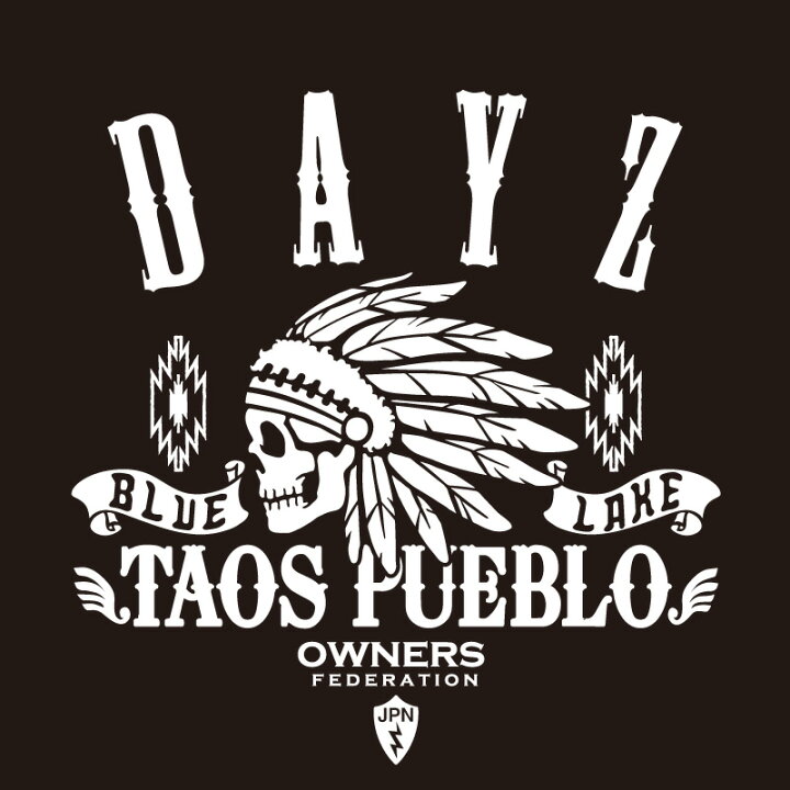 楽天市場 カッティングステッカー 390 390サイズ 日産 Nissan Dayz デイズ Apache 車 カー ステッカー かっこいい おしゃれ アクセサリー シール ガラス オーダーメイド 転写 ホビナビ