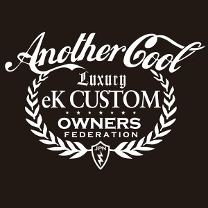 JbeBOXebJ[ 210×300TCY OHiMITSUBISHIjekcustom EKJX^ anothercool  J[ XebJ[   ANZT[ V[ KX I[_[Ch ][]
