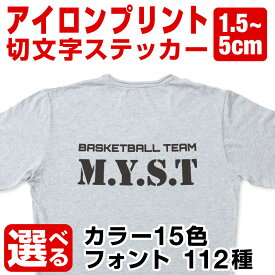 カッティングシート ステッカー 文字 切り文字 かっこいい おしゃれ オーダーメイド 文字シール 白 文字Tシャツ アイロン ワッペン 接着 転写 プリント [◆]