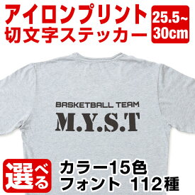 カッティングシート ステッカー 文字 切り文字 かっこいい おしゃれ オーダーメイド 文字シール 白 文字Tシャツ アイロン ワッペン 接着 転写 プリント [◆]