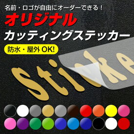 カッティングシート ステッカー 文字 文字シール 名前 車 ポスト バイク 表札 文字ステッカー スーツケース 数字 オーダー アウトドア 防水 シール ネーム スノー [◆]