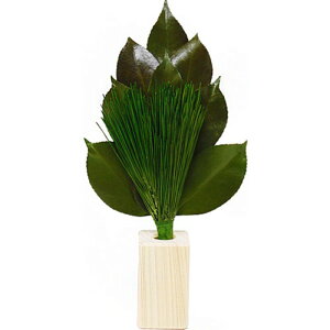 A&K r_S 嗧ăZbg ST-005 vU[uhH [][AS]