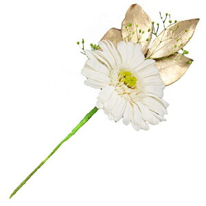 A&K ֑} v`K[xzCg P-004 vU[uht[ [][AS]