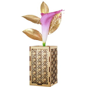 A&K ֑} v`J[[ ԗ Jo[tZbg P-015 vU[uht[ [][AS]