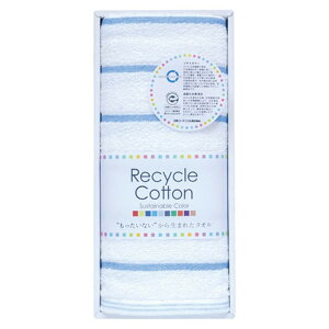 BTCJ[ tFCX^I u[ 22449008 [][AS]