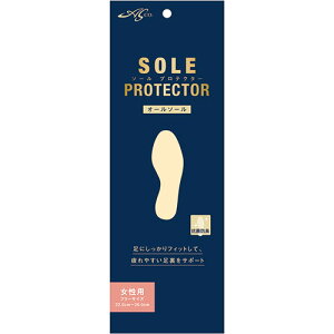 �r��Y�� �\�[���v���e�N�^�[ �I�[���\�[�� �����p ARAKAWA09437 [��][AS]