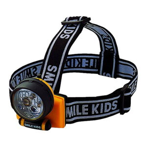 �y5�Z�b�g�z �X�}�C���L�b�Y 3LED�w�b�h�����v ACA-4302X5 [��][AS]