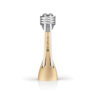 y5Zbgz COOLSSHA duV COOLSSHAփuV(_炩) S[h CSR-0001GD-SFX5 [][AS]