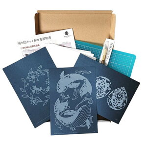 gXgveBO ؂GX^[^[Lbg ؂GƁEJW^~LZbg ؂Gꎮ/ԃNW [X Ȃ݂ TT-ST-003 [][AS]