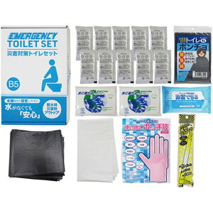 ЊQ΍gCZbg10񕪃vX C6018520 [][AS]