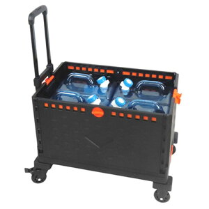 xm EH[^[^NJ[g ܂肽݃Rei+^N4Zbg ύډ׏d100kg Nłʂ̐yɉ^ׂ F21646 [][AS]