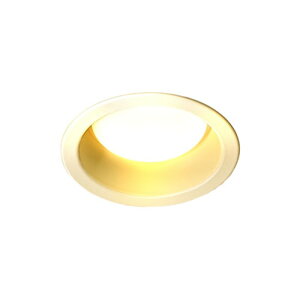 YAZAWA LED�_�E�����C�g 3W �d���F100 DLL03100L01WH [��][AS]