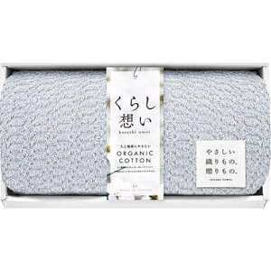 y5Zbgz 炵z I[KjbNRbgXoX^I u[O[ 34×110cm B1055520X5 [][AS]