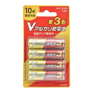 �y4�{�p�b�N×10�Z�b�g�z �I�[���d�@ V�A���J�����d�r �P3�` 08-4133 LR6VB4PX10 [��][AS]
