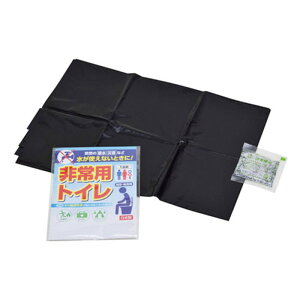 y10Zbgz pgC Ìō(10g)E(650×800mm) { 22552208X10 hЗpi [][AS]