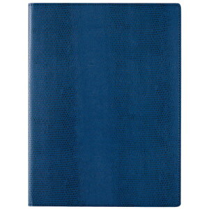 CC zeitVektor m[gpbh (A5) NXy[p[ m[g|[gp\A5TCỸm[gpbh lCr[ ZVP203K [][AS]