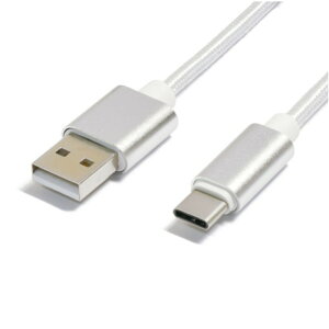 y10Zbgz {gXgeNmW[ Type-CP[u 1m Vo[ TYPEC1m-SVX10 [][AS]