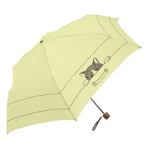 O MKN Ռ&ՔM R[eBOP 50cm y~j CAT mini CG[ S2515811 [][AS]