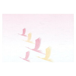 }R[ p Ɩp _a 3 ΂܂ j (50) yamaco64430 Lb`pi [][AS]