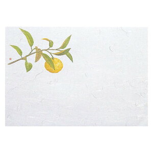 }R[ p Ɩp 1 茳܂ lG Mq (100) yamaco64958 Lb`pi [][AS]