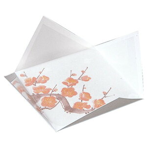 }R[ p Ɩp R lG̎M  (200) yamaco65590 [][AS]