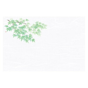 }R[ p Ɩp 3 _a΂܂ ͒W ݂ (100) yamaco68045 Lb`pi [][AS]