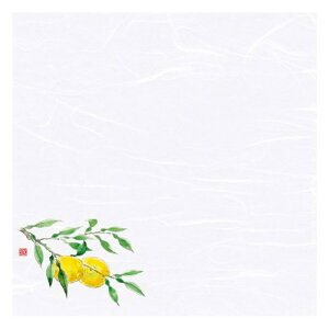 }R[ p Ɩp 4 lGʉ_~ Mq (100) yamaco68829 Lb`pi [][AS]