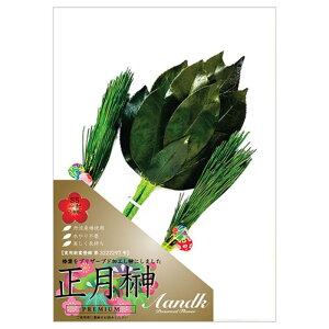 A&K t SSTCY (2{g) _Iɏɏ邱Ƃłj͋̕C SKK-013SS [][AS]