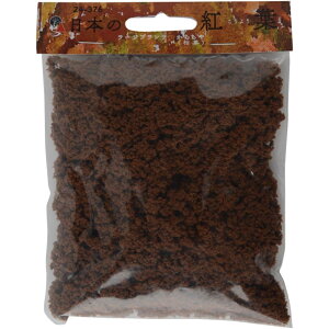 yKATO/Jg[z 24-376 {̍gt [Wvc 炿(͒) NQ[W [][ME]