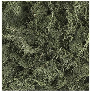 yKATO/Jg[z 24-555 VRfރvc _[NO[ CAEgEWI} [][ME]