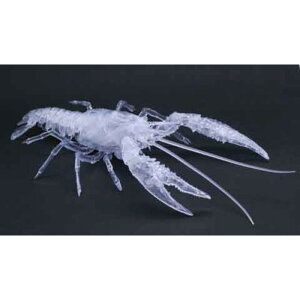 ytW~͌^()z R24 EX|3 ̕ AJUKjij [][ME]