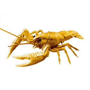 ytW~͌^()z R No.24 EX|5 ̕ AJUKj iS[hj [][ME]