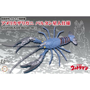 ytW~͌^()z R|246 RV[Y No.246 Egb AJUKj o^ldl [][ME]