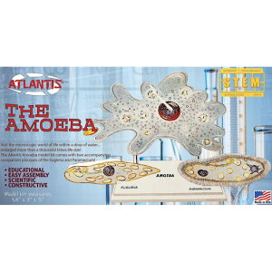 �_�ő�400�~OFF�N�[�|���I7��9:59���^�y(��)�r�[�o�[�R�[�|���[�V�����z ATLL3800 �A�g�����e�B�X���f�� �A���[�o �i�P�זE�����j ���f�� �v�����f�� [��][ME]