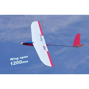 y()OK͌^z 11317 PILOT }W2  DX i1D2mj dWR ds@ [][ME]