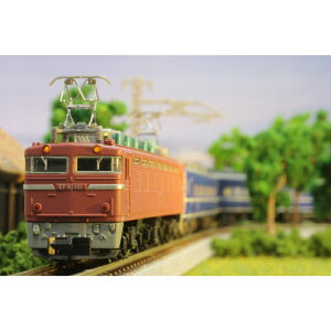 yNnz T015-2 (Z) SEF81`dC@֎ ʐF ZQ[W [][ME]