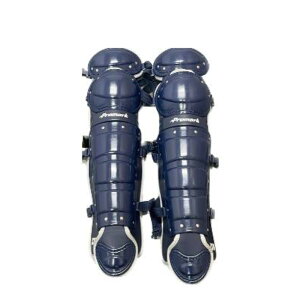 yTNCf / SAKURAIzʓp F Lb`[K[X Vo[×lCr[ 싅 \tg{[ /RGT-65SVNV [][ZX]