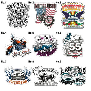 10cm XebJ[ V[   AEghA X[cP[X  T[tB T[t{[h oCN h LN^[ J[ V[ G by XbeJ[ XeBbJ[ AJ