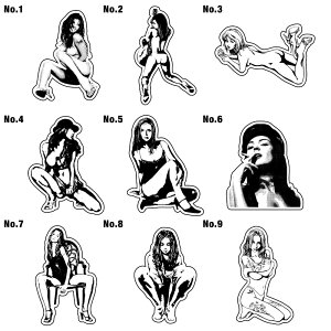 15cm XebJ[ V[   AEghA X[cP[X  T[tB T[t{[h oCN h LN^[ J[ V[ G by XbeJ[ XeBbJ[ ZNV[ [
