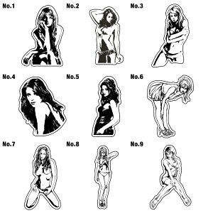 15cm XebJ[ V[   AEghA X[cP[X  T[tB T[t{[h oCN h LN^[ J[ V[ G by XbeJ[ XeBbJ[ ZNV[ [